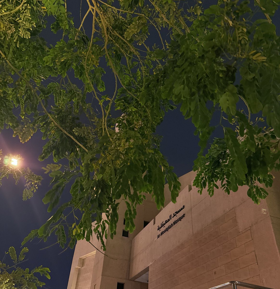 Alhanouf Abdullah tweet media