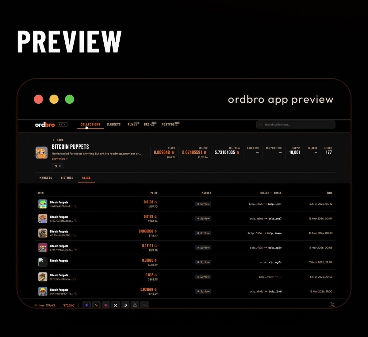 pawellwitt tweet media