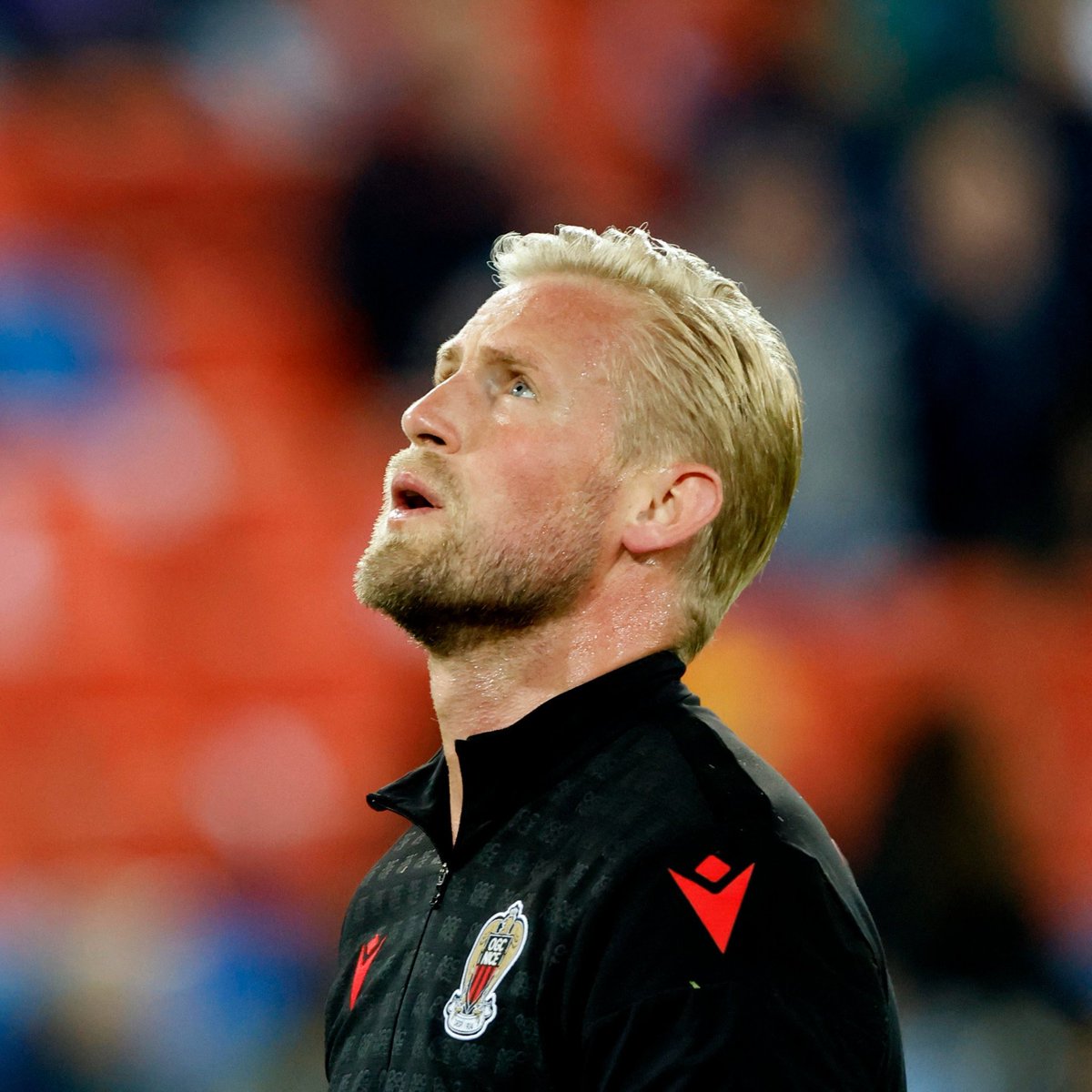 Fighting Stripes Football tweet media