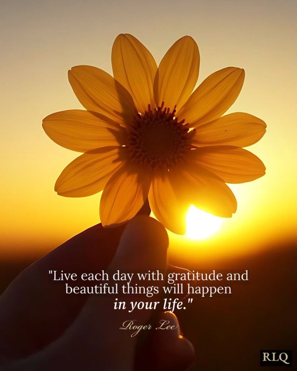 Renée Booth tweet media