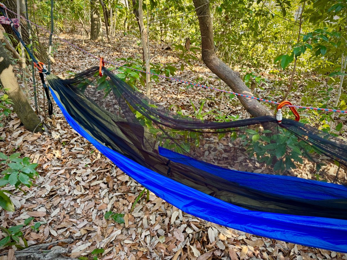 camp565656 tweet media