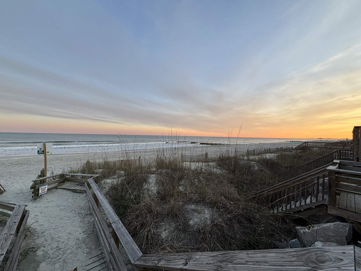 Ash Finn tweet media