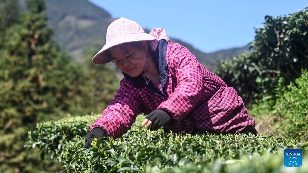 People'sDailyOnline Australia tweet media