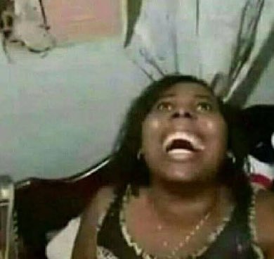 pedregrele tweet media