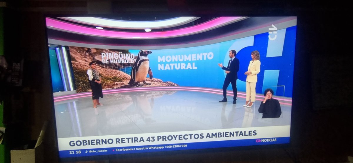 CESAR tweet media