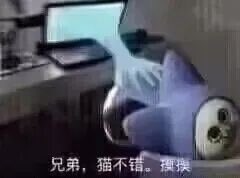 Coldcoldman tweet media