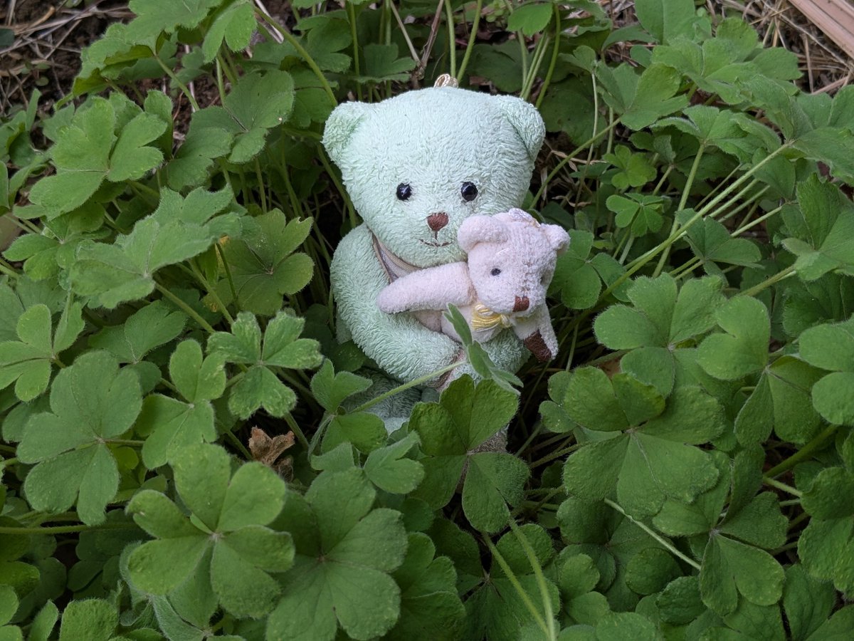 まくちゅ[Max] tweet media