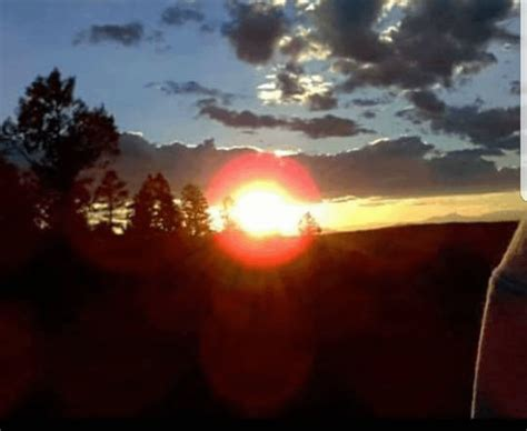 Wildfire Whispers tweet media