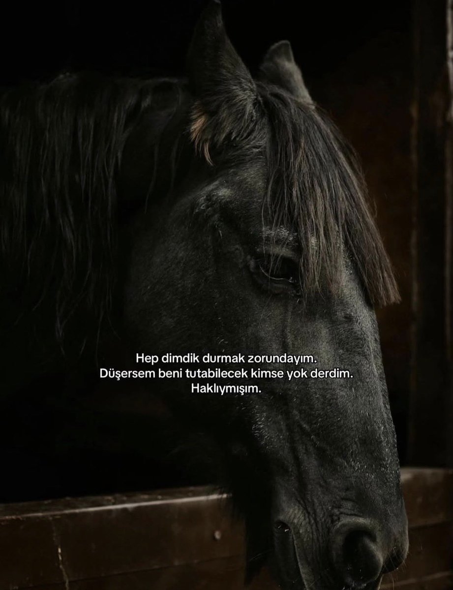 F.C.🇹🇷 tweet media