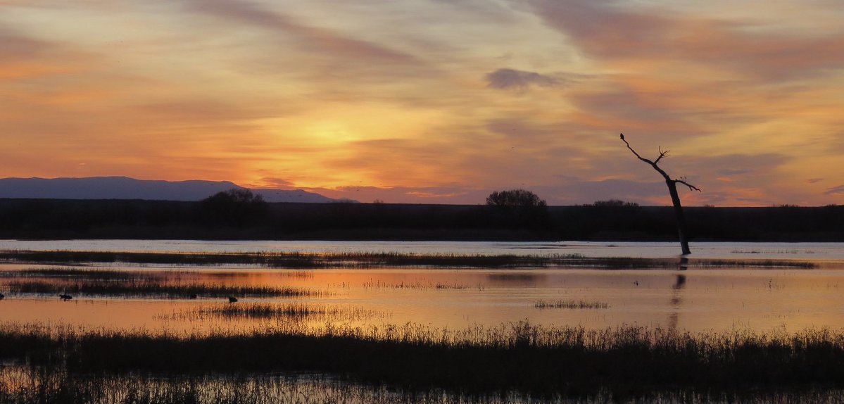 Christopher McQuade tweet media