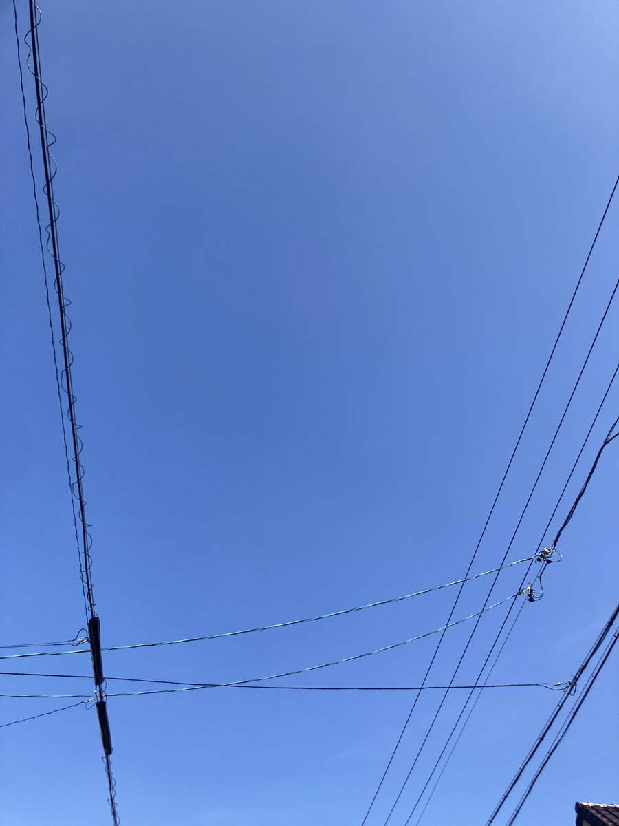最近ひるはめーちゃあったかい☀️