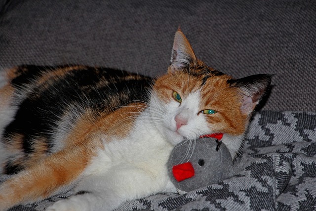 Kevin Huff tweet media