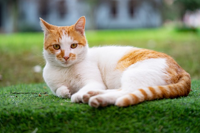 Maurice Armstrong tweet media