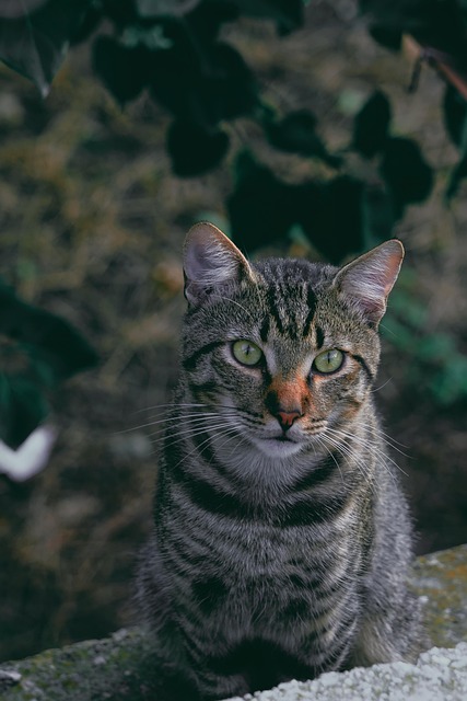 Maria Moore tweet media