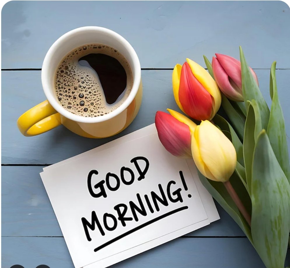 Good morning .
Life doesn’t wait for the perfect moment…
It becomes perfect when you choose to start.