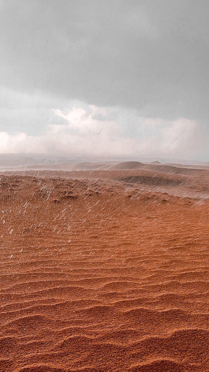 محمد بن فضاء tweet media