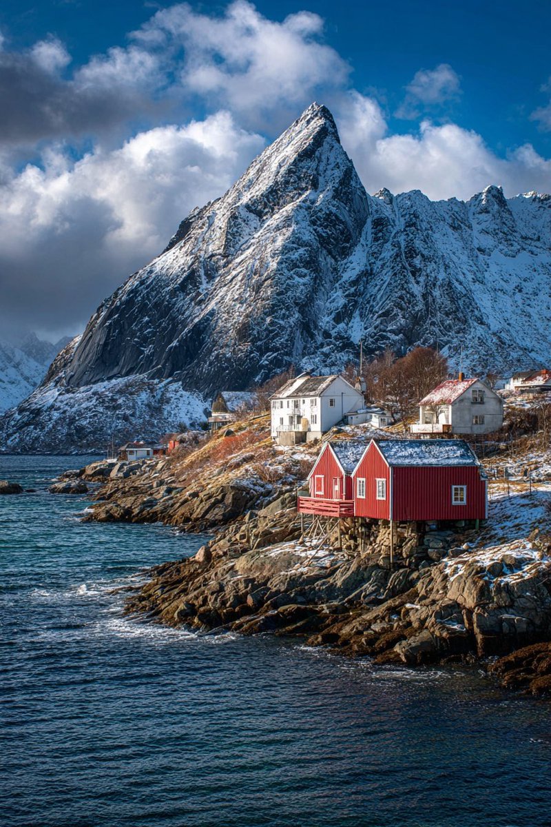 World in Pictures tweet media