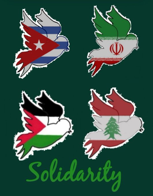 🐢Taous93FI🇩🇿 tweet media