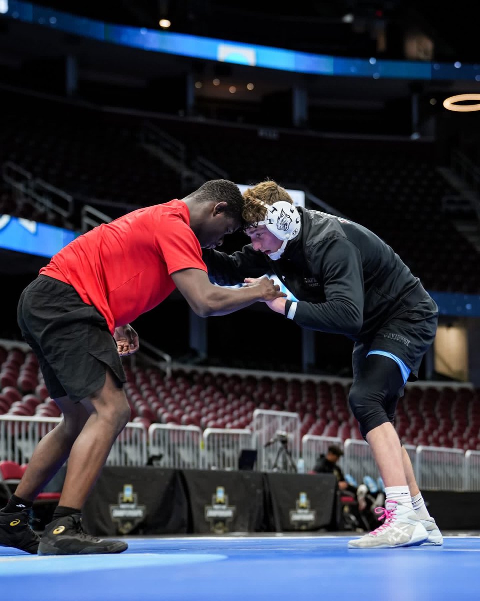 Davidson Wrestling tweet media