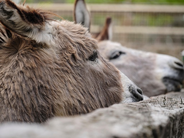 Jackie Little tweet media