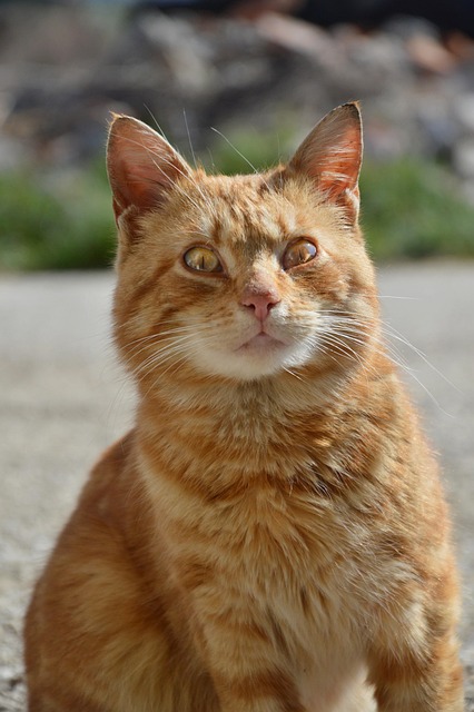 Rosa Freeman tweet media