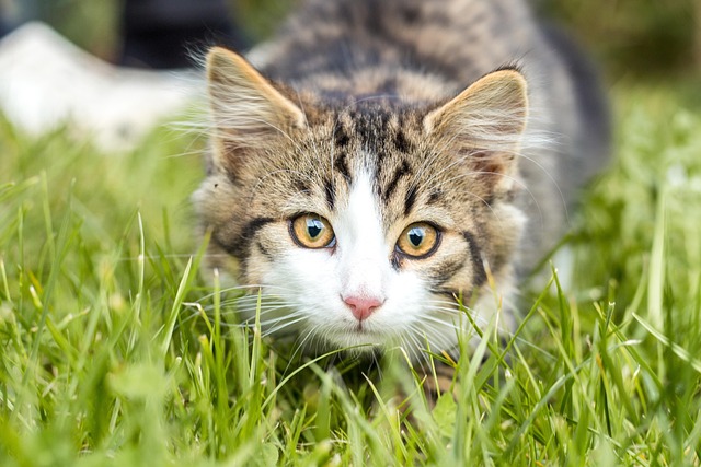 Jessica Parks tweet media