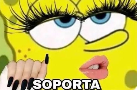 Daniela San tweet media