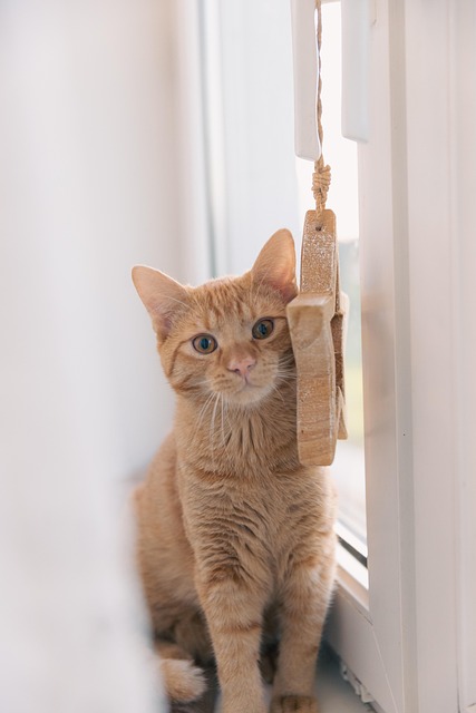 Jessica Daniels tweet media