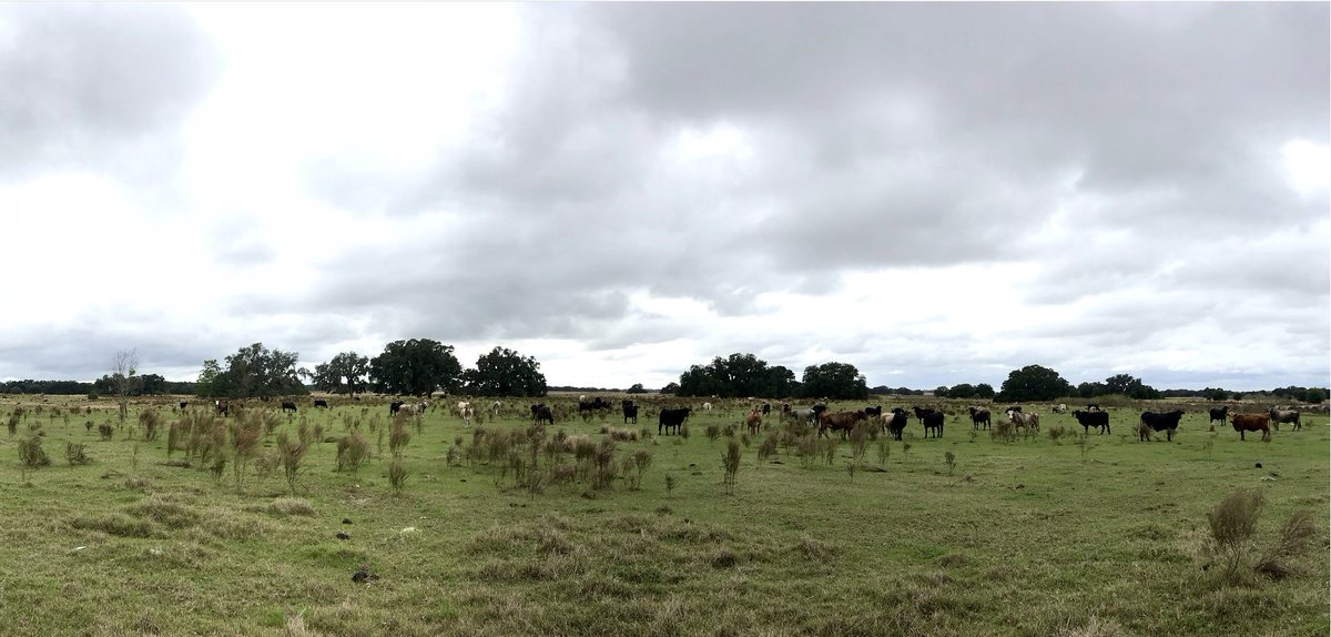 Christopher McQuade tweet media