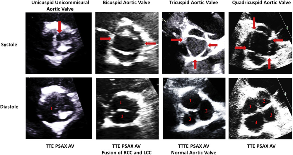 Ahmed Ata tweet media