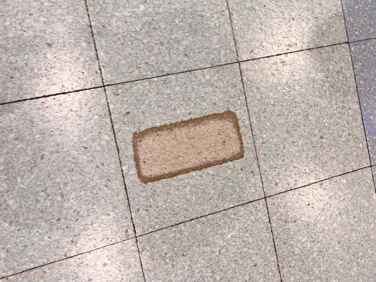 shiragaigarashi's tweet photo. 今まで見つけた #地面のたべもの

カレーライス、鮭の切り身、とんかつの断面、水餃子 https://t.co/W8qVt7COgS