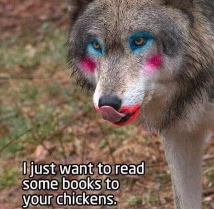 IntoTheMyst13's tweet image. 