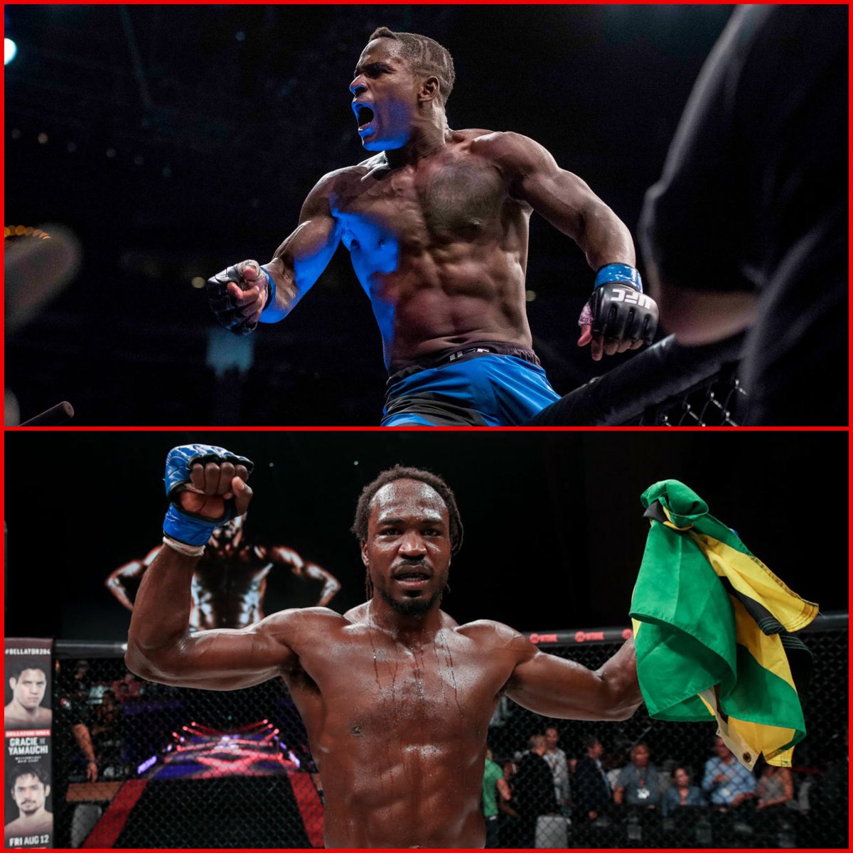 Alex Behunin tweet media