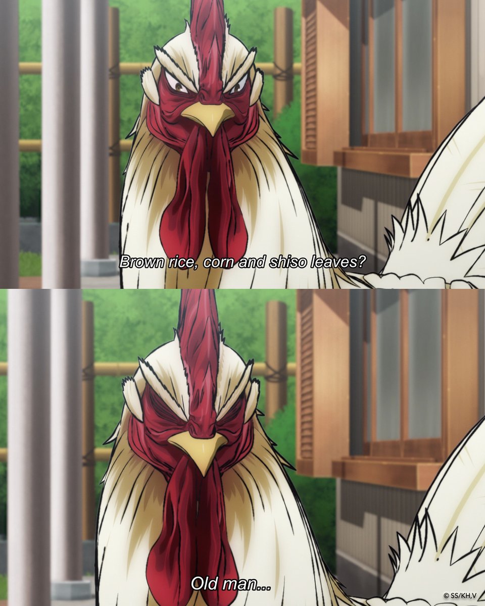 Rooster Fighter tweet media