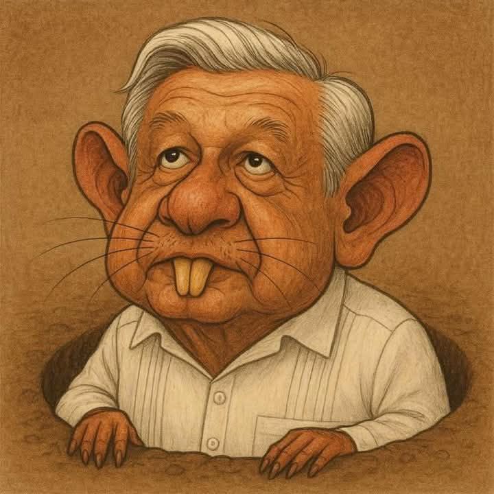 Yola Solis tweet media