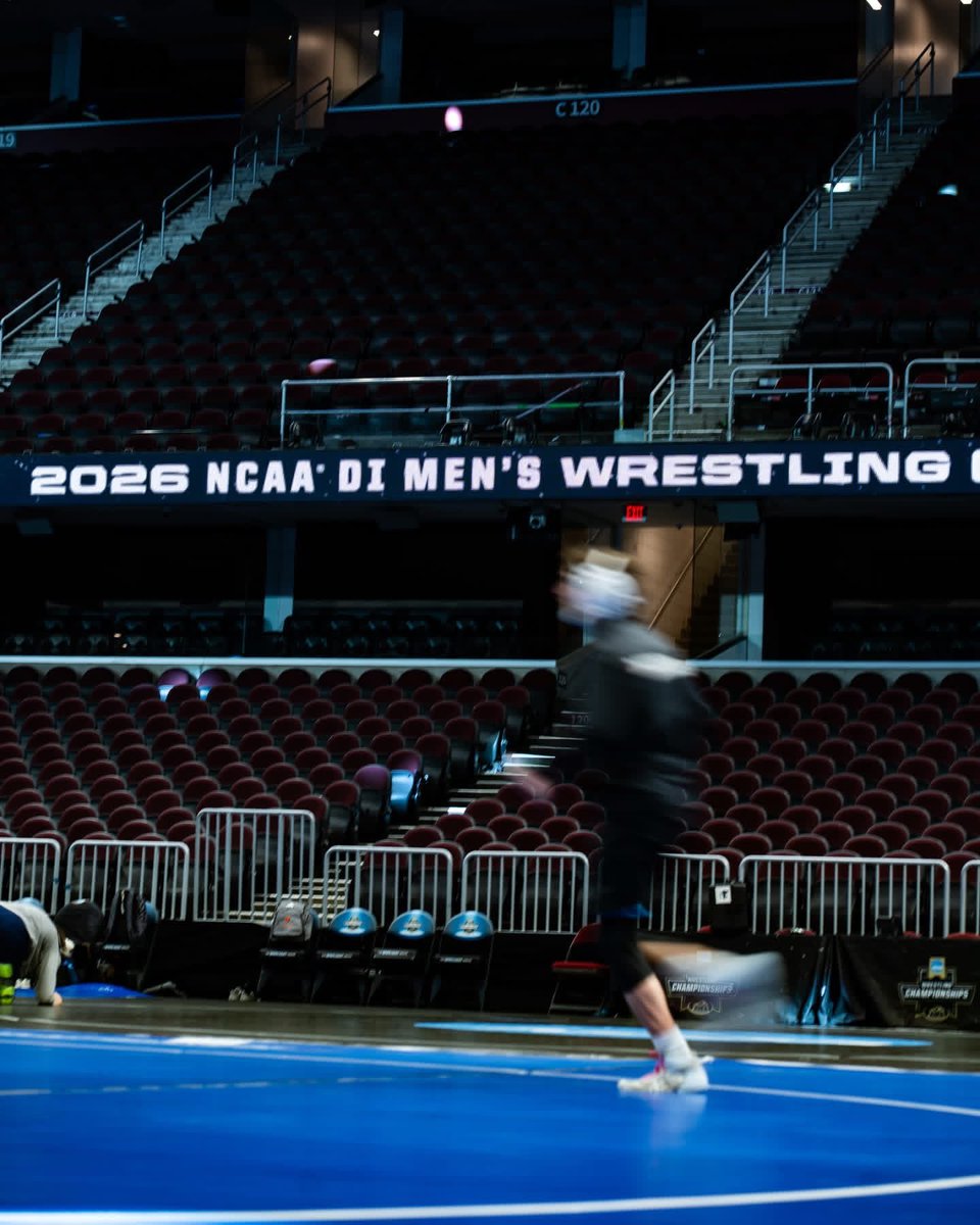 Davidson Wrestling tweet media