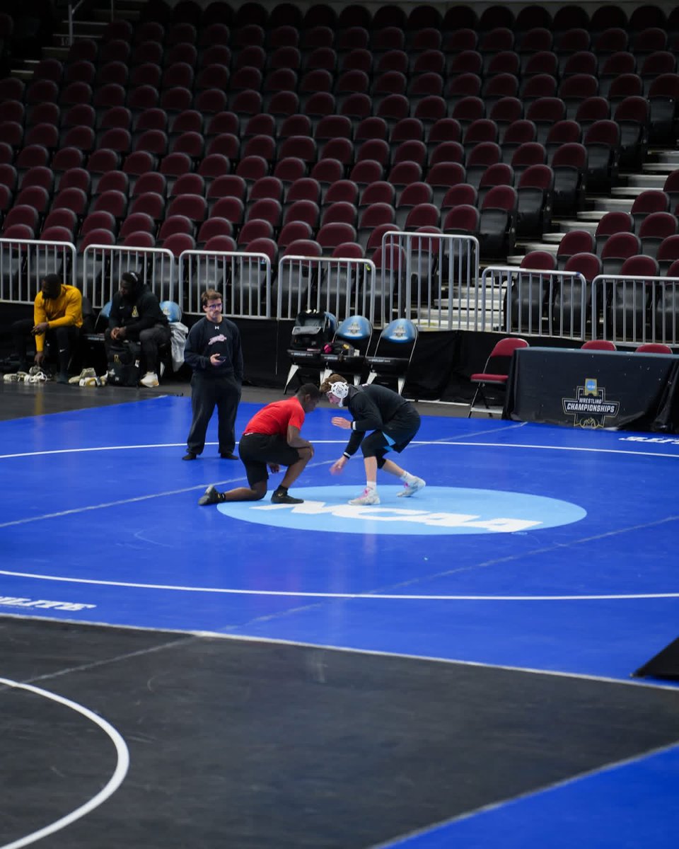 Davidson Wrestling tweet media