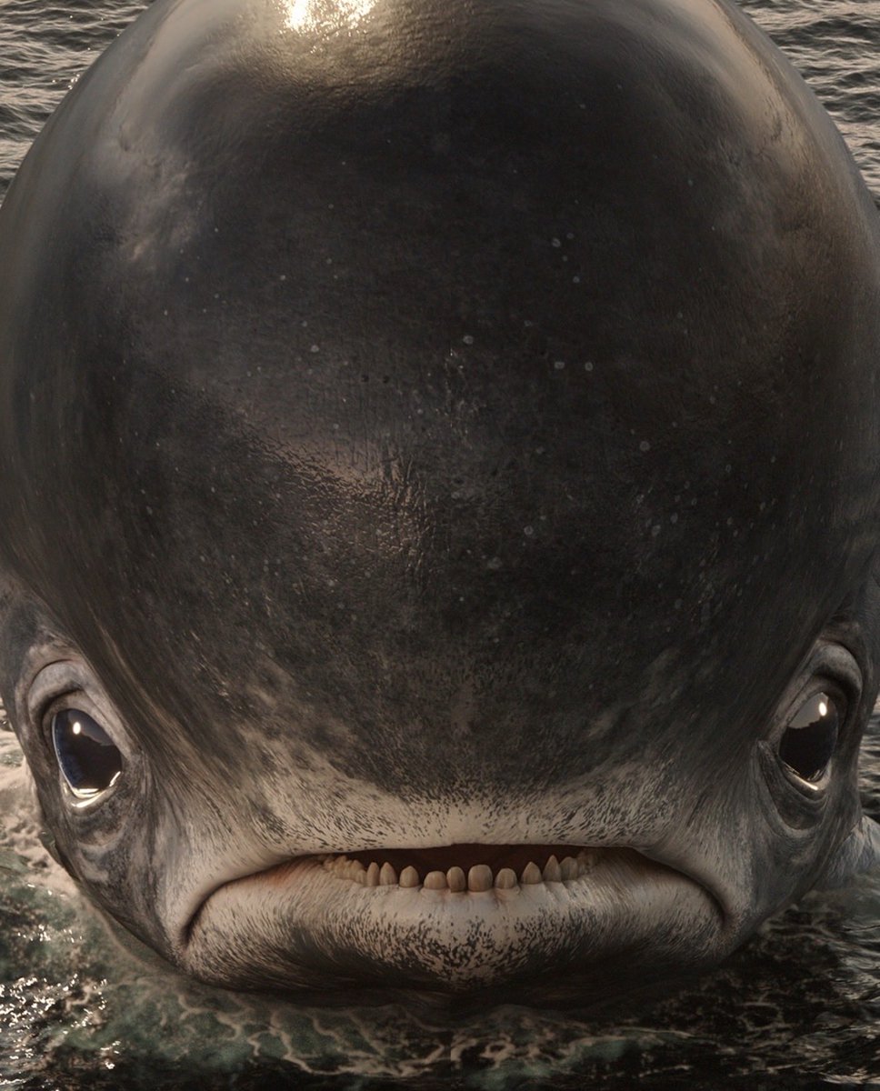 MARYxLEEEE tweet media