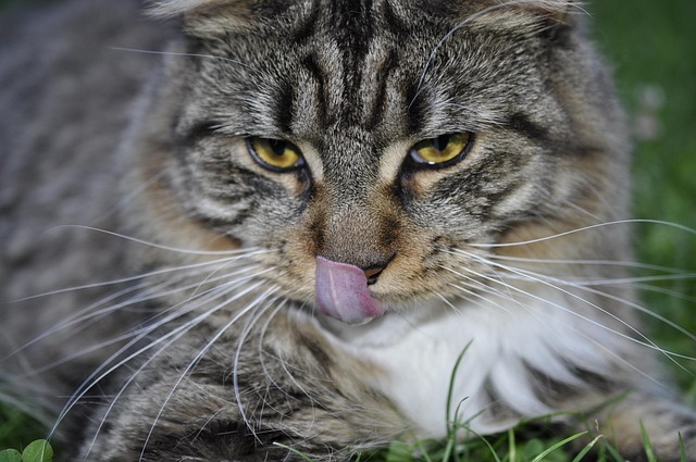 Russ Taylor tweet media