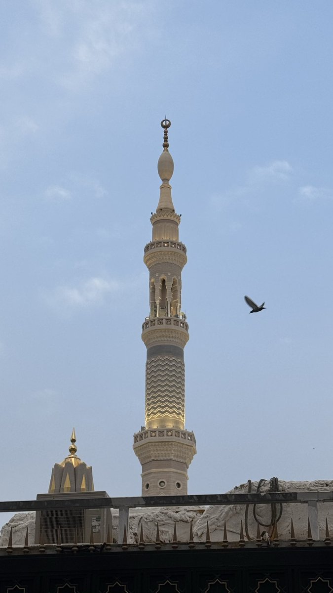 asmaa_kh6's tweet photo. ٢٨ رمضان | ختمة الحرم النبوي ١٤٤٧ هـ

الحمدلله الذي بنعمته تتم الصالحات، وبفضله تكتمل الطاعات، نحمده سبحانه على التمام ونسأله القبول وحسن الختام، اللهم لا تجعله آخر عهدنا برمضان وتقبله منا بقبولٍ حسن ❤️
الحمدلله الذي أكرمنا بحضور الختمة في مسجد نبيّه ❣️ https://t.co/dWIueMiz2s