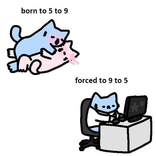 DevGwardo tweet media