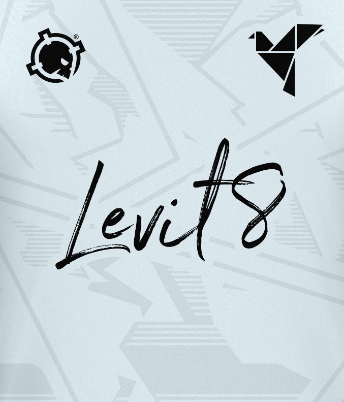 Levit8 Esports tweet media