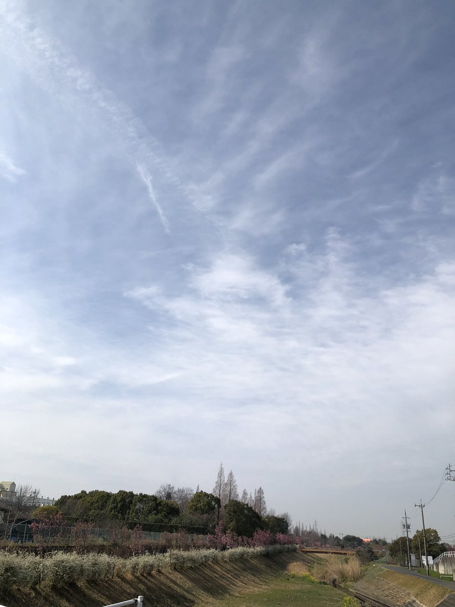 shiro111's tweet photo. 今のお空 https://t.co/SVSS813qgQ
