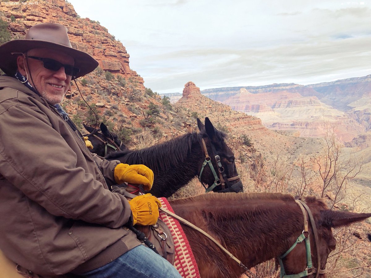 Hillbilly HODL tweet media