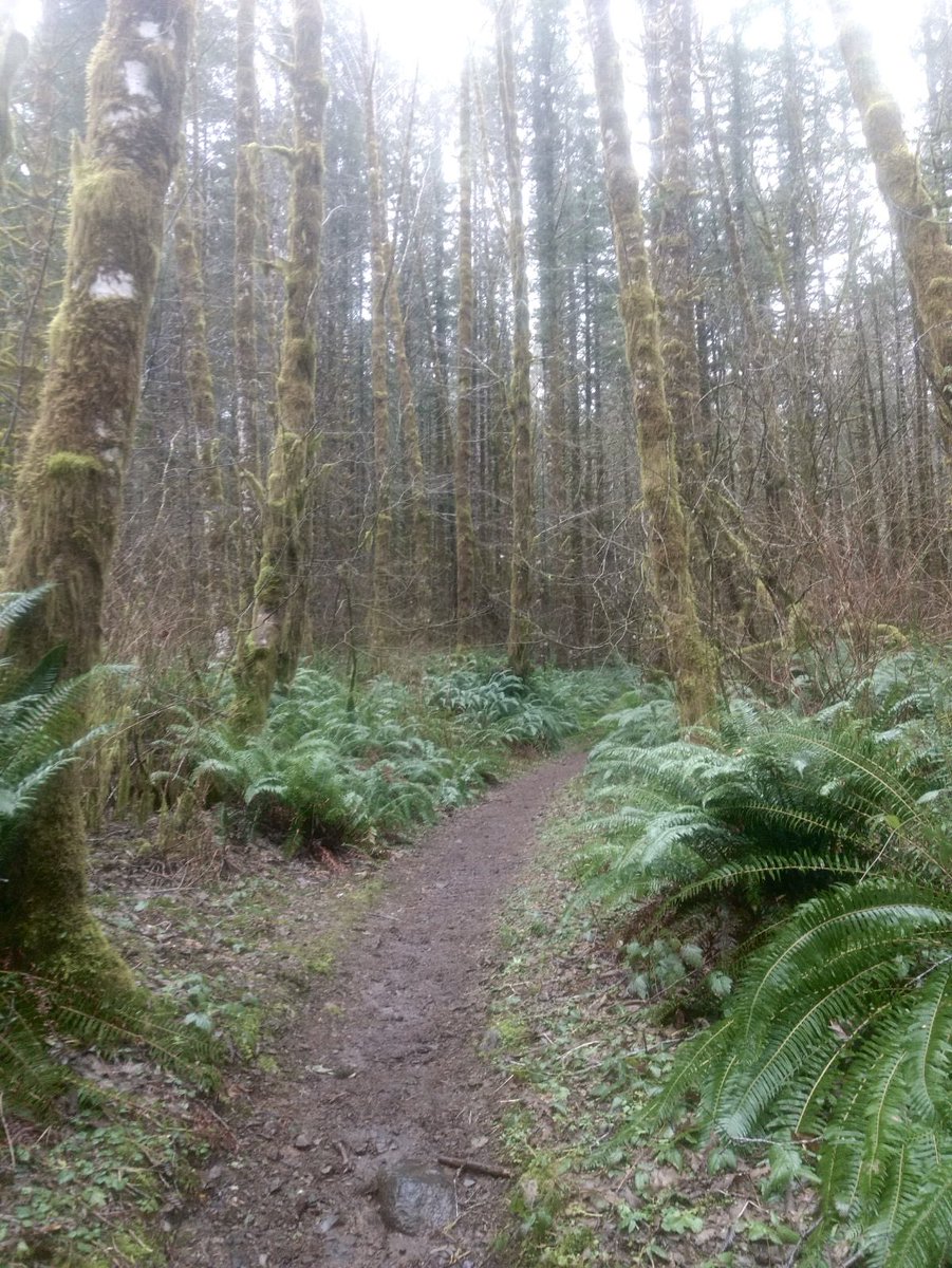 John C. Knapp tweet media