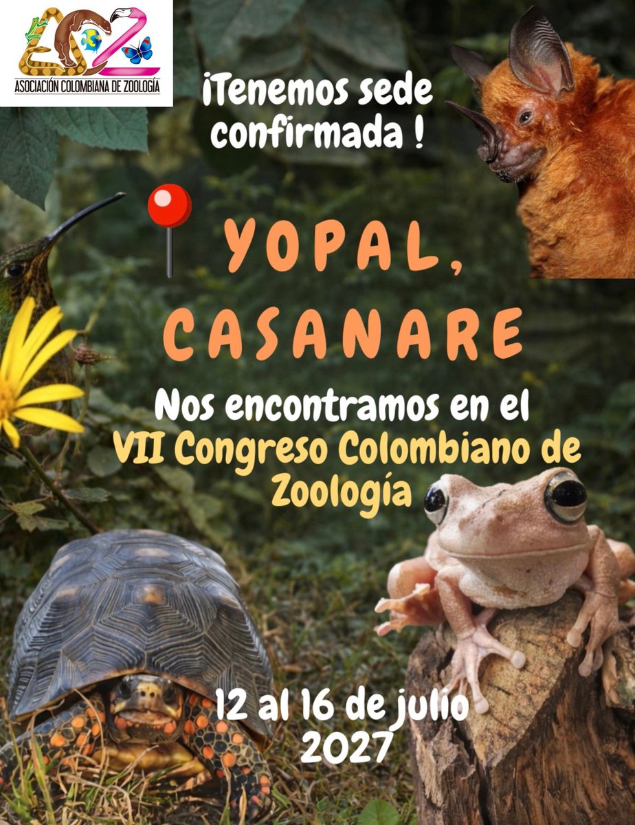 ACZ Colombia tweet media