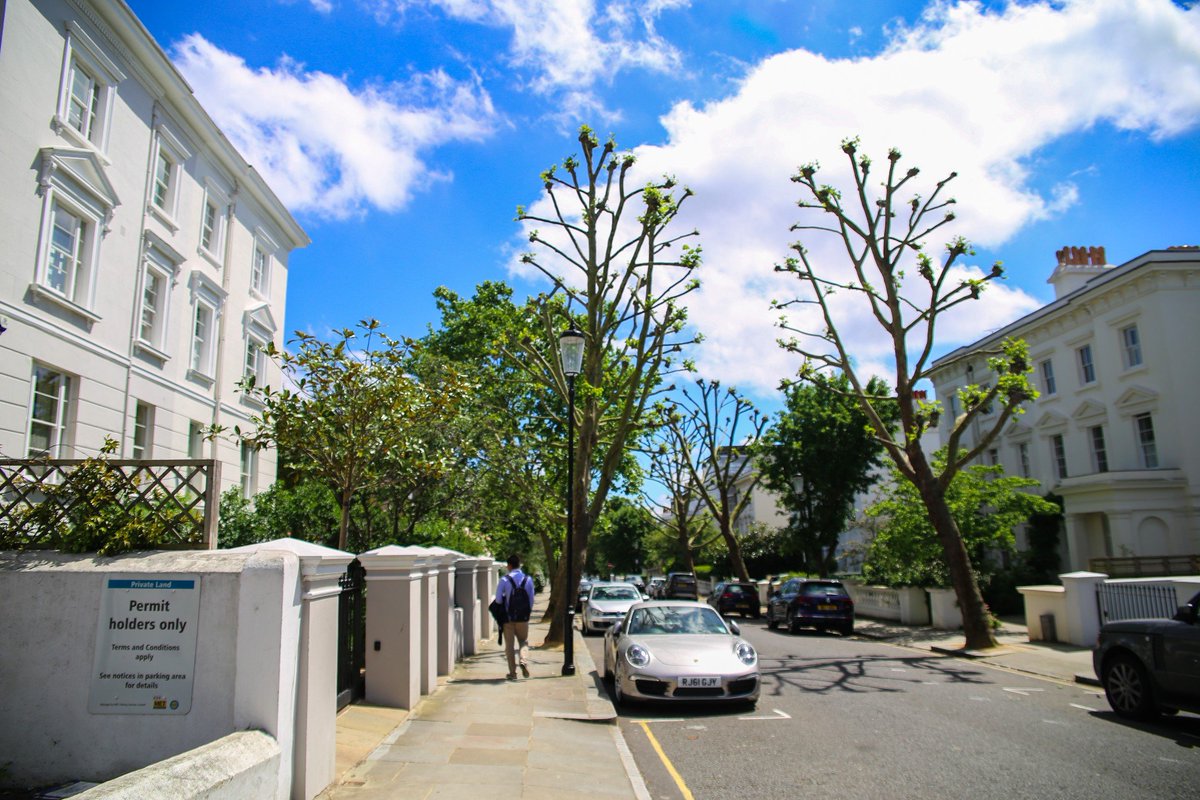 abo emam tweet media