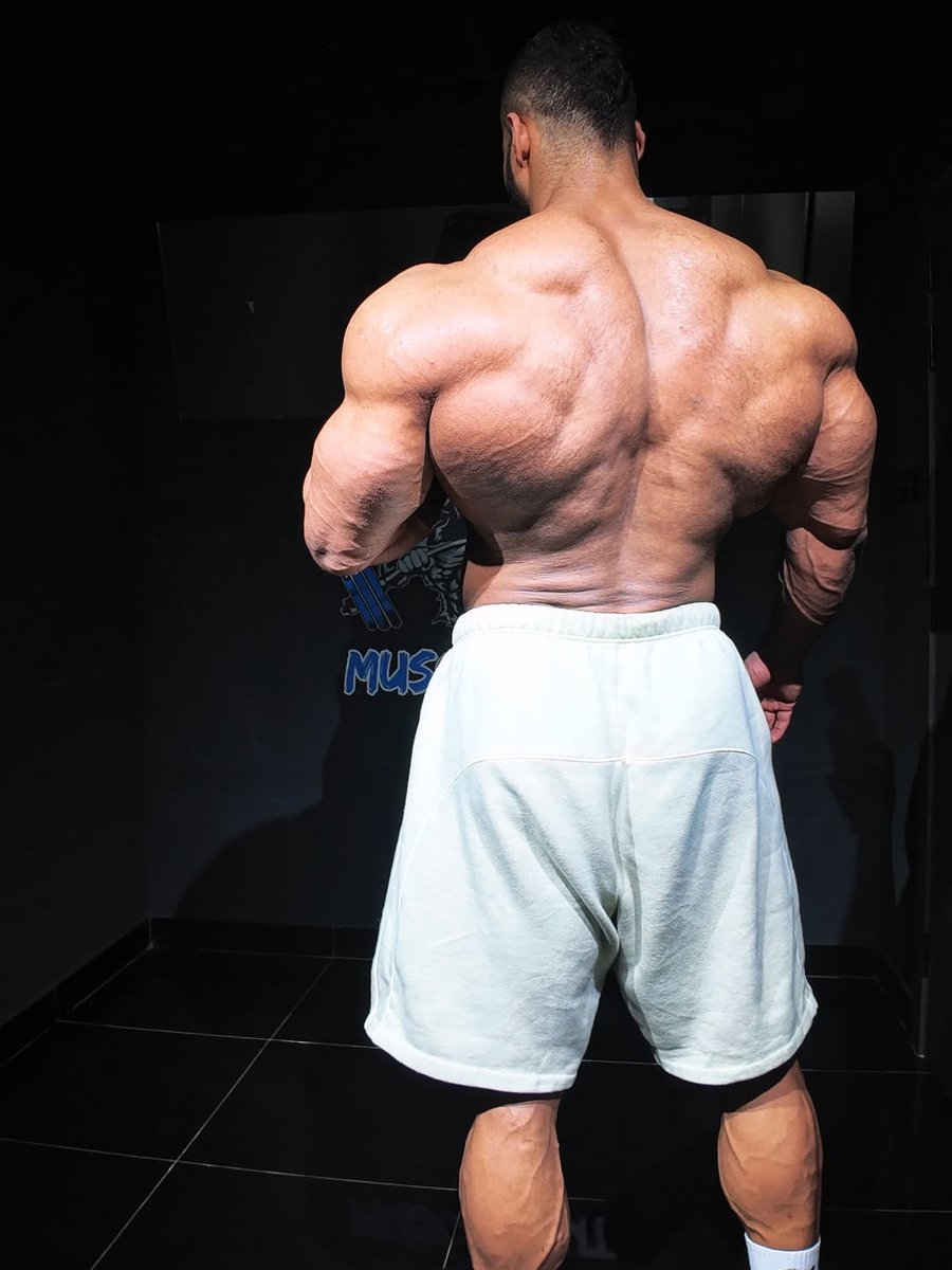 Muscles Anarchy tweet media