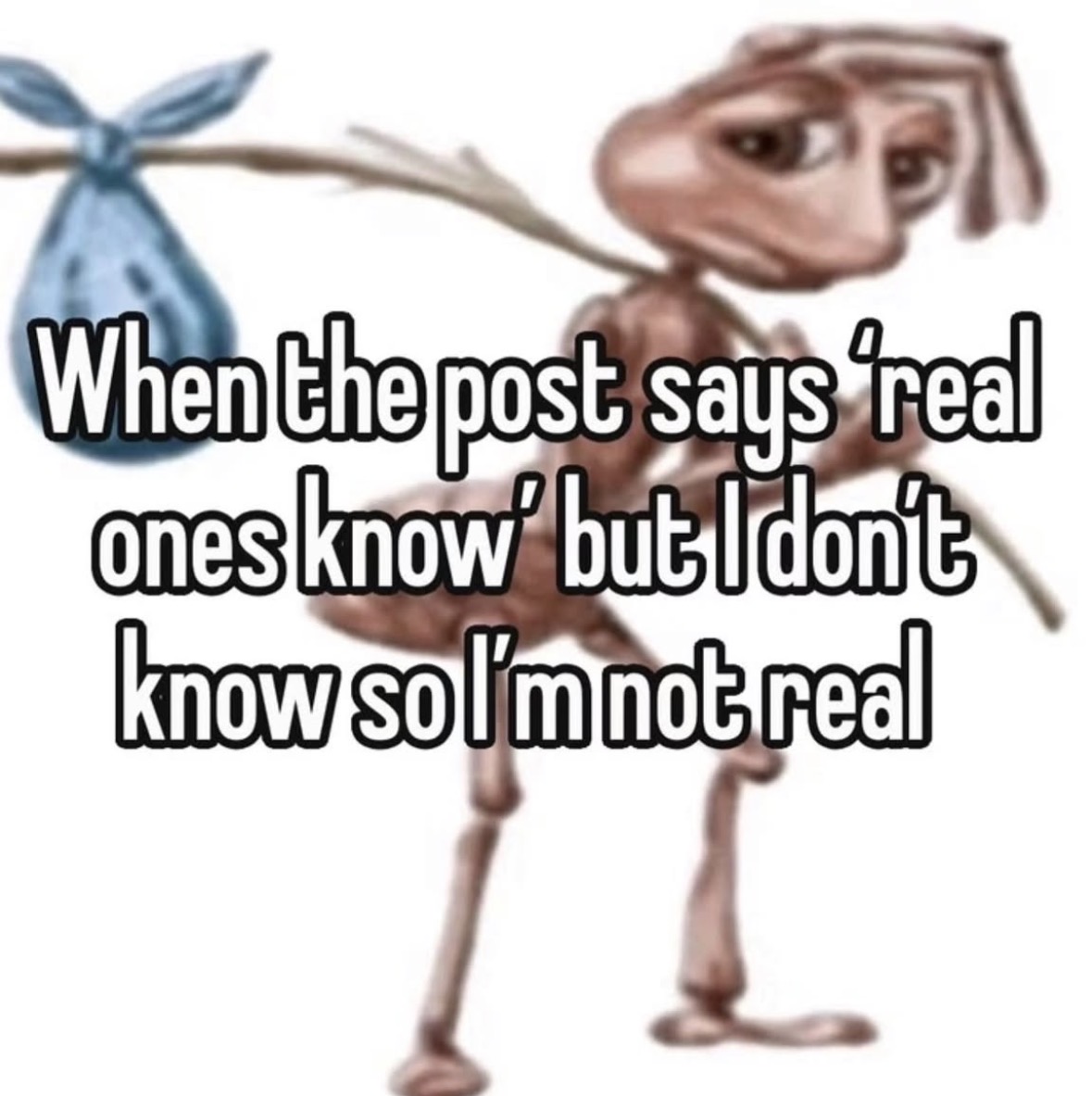 Respectful Memes (@respectfulmemes) on Twitter photo 