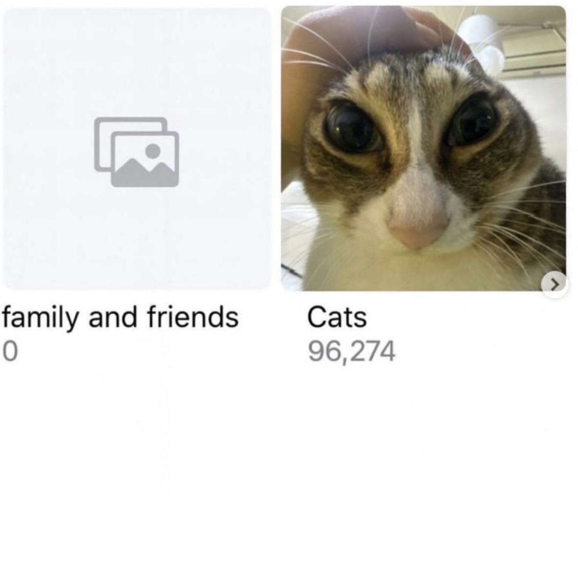 Respectful Memes tweet media